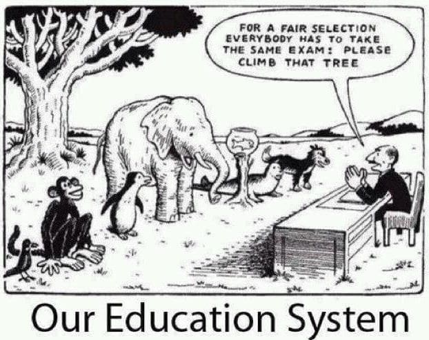 Our Education System, if you are very good you can win.